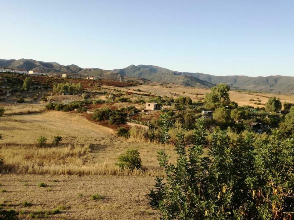 Casa Vacanza Il Mandorlo Domusnovas المظهر الخارجي الصورة